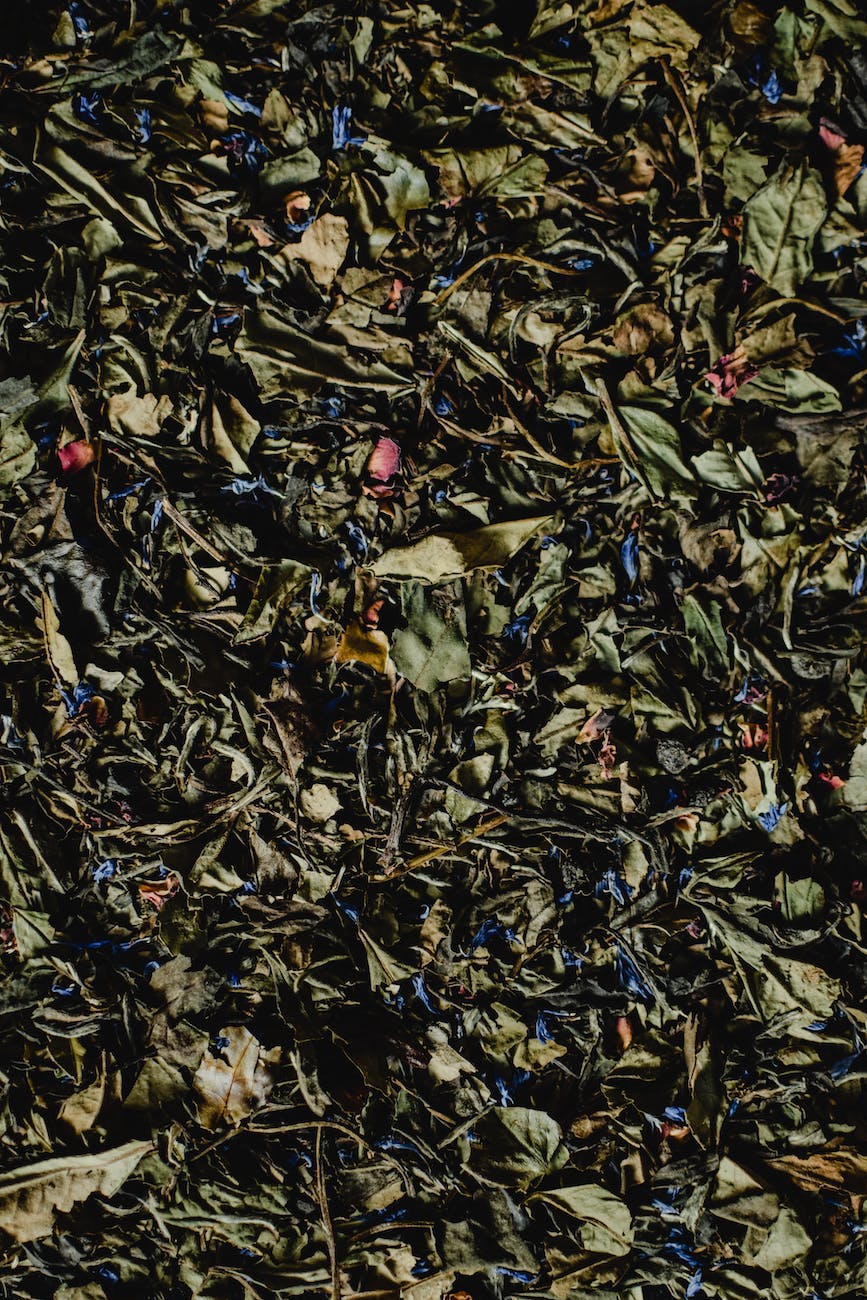 dried tea leaves